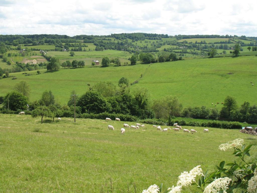 Gite " Le Normand " Sa Vue Splendide Vimoutiers Exterior photo